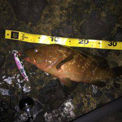 久しぶりのショアジギ